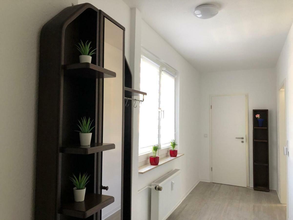 Helle Ferienwohnung An Der Rheinpromenade 50 Qm Duisburg Exteriér fotografie